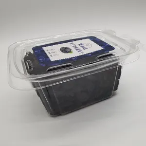 水果蔬菜定制一次性宠物透明塑料盒带扣盖