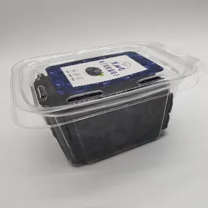 Disposable Plastic Box Customized Disposable Pet Transparent Plastic Box With Buckle Cover For Fruits And Vegetables