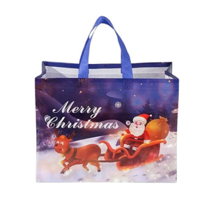 Bolsas de mano no tejidas ecológicas CENPLAS, regalo de compras reciclable con MRP competitivo, logotipo personalizable hecho en Vietnam - Product Image 1