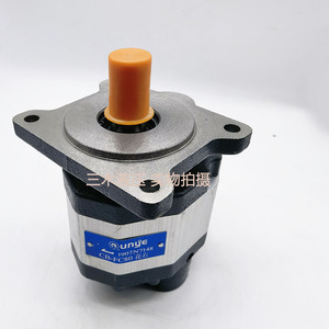 Luosheng Hydraulic Gear Pump CB FC80 350 Bar 1 Stage <b>Cast</b> Iron Electric Rotary Pump - Product Image 2