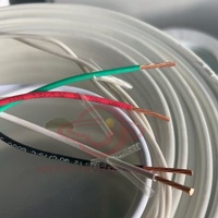 Cable Eléctrico de Cobre THW THHN THWN de 600V para el Mercado Filipino, 50 mm², Resistente al Calor y la Humedad