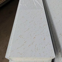 Panneaux muraux sandwich en métal EPS, aspect bois, pour l'extérieur, résistants aux intempéries, solution décorative pour bâtiments résidentiels