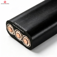 Kabel Industri JHSBP EPR Berisolasi dan Terlindungi untuk Pompa Submersible 3-inti dengan Tegangan Terukur 450/750V