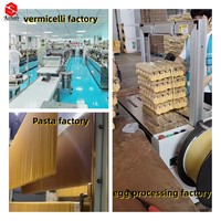 Machine d'emballage à haute tension KUNJIN pour l'élevage de poulets et les usines de transformation de nouilles, utilisant des plateaux à œufs et des bandes PE pour nouilles