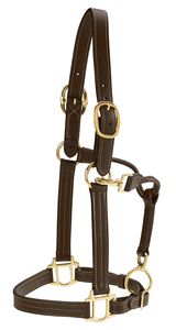 Cabestro duradero para caballos con hebillas resistentes para entrenamiento ecuestre, equitación y aplicaciones diarias en la establa - Product Image 6