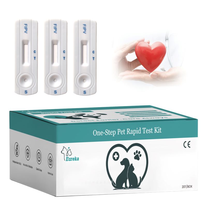 FIPV Feline Infectious Peritonitis Rapid Test Kit Treatment Inhibitor Injection FIPV Ag Rapid Test Kit