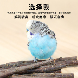 Bâtonnets à mâcher en bois de pomme Crown Asia pour perroquets et oiseaux du soleil, jouet pour affûter le bec, 100g 200g 300g 500g, sachets refermables - Product Image 2