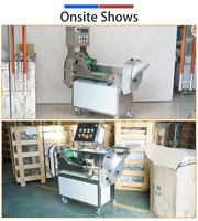 Fengxiang Groentesnijder, -hakker en -schaafmachine 1000kg/u met dubbele invoer, voor commerciële voedselverwerking