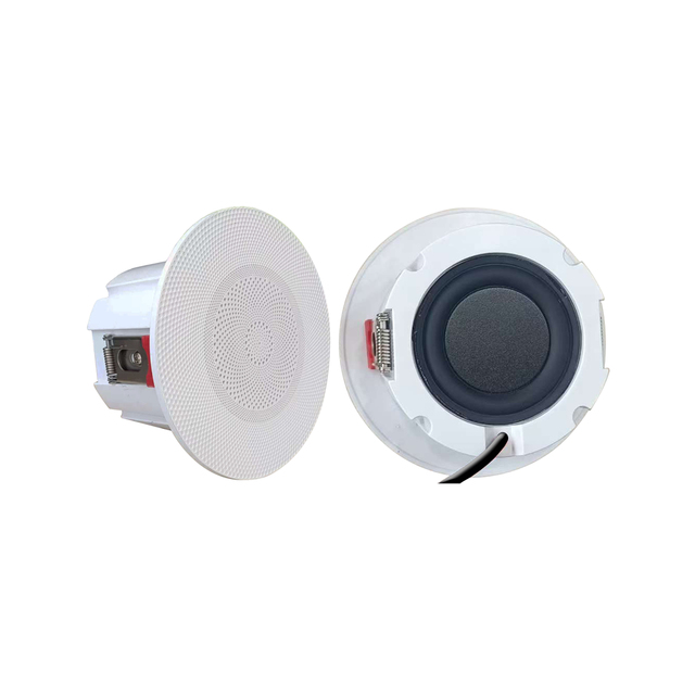 Smart Home Wireless WiFi BT Ceiling Speaker for Home Living Room Horn Wall Broadcast for Shop Restaurant for Ceiling