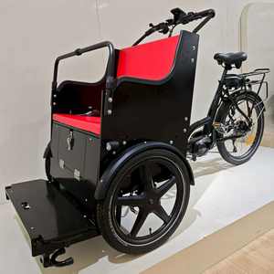 Bicicleta Eléctrica <span class=keywords><strong>de</strong></span> Carga para Transportar Personas Mayores/ Discapacitadas/ Personas con Lesiones, 9 Velocidades, Asistencia Eléctrica, Silla <span class=keywords><strong>de</strong></span> Ruedas y Bicicleta <span class=keywords><strong>de</strong></span> Enfermería - Product Image 4