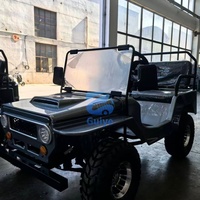Véhicules d'occasion, Jeep 125cc, 150cc, 200cc, 300cc, mini jeep d'origine, mini jeep électrique pour enfants avec 2 sièges