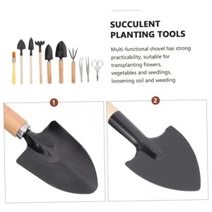 Succulent 10 Pcs Plante Outils Enfants Outils succulent semis élévateur sol <span class=keywords><strong>pelle</strong></span> baril <span class=keywords><strong>pelle</strong></span> plantes succulentes outils - Product Image 3
