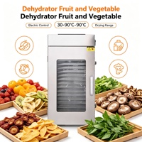 Déshydrateur industriel de légumes à capacité multi-plateaux pour les usines de transformation des légumes et des aliments