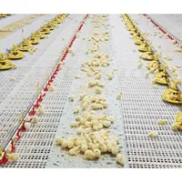 A basso costo casa di pollo coop disegno struttura in acciaio industriale allevamento di polli in vendita