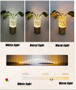 Lampe de table LED en forme de vase, décoration de bureau, éclairage pour plantes, vase en acrylique, décoration d'intérieur, bonsaï, éclairage étanche, décoration de chambre - Product Image 4