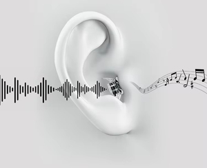 2 Pairs 24db High Fidelity <b>Concerts</b> Earplugs Hearing Protection Tapones Oidos Noise Reduction Silicone <b>Ear</b> <b>Plugs</b> - Product Image 4