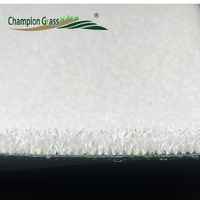 Tapis d'herbe de ski synthétique anti-dérapant pour le ski sec en plein air 20mm de hauteur de pile terrains d'entraînement en plastique ignifuge