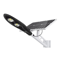 Aluminium 2000 W 1000W 600W 150W 100W Ip 67 Ip65 Lampe murale d'extérieur étanche Type de luminaire Cobra Led Solar Street Light