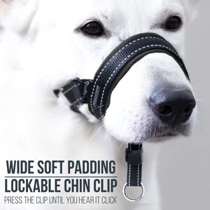طوق الرأس المطلي بالنايلون على شكل 8، طوق رأس الكلب على شكل لعبة كلب Greyhound مع حزام أمان - Product Image 3