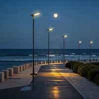 Lampadaire solaire avec système hybride AC/solaire complémentaire, étanche IP65, pour l'éclairage routier commercial, industriel et extérieur