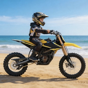 Motocross tout-terrain économique pour jeunes, Surron 58V 22Ah 8KW 185N.m, léger, vente en gros - Product Image 1