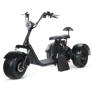 Les douanes et les taxes de l'entrepôt des États-Unis incluent le tricycle citycoco de style classique à 3 roues 25MPH 60v20ah 2000W X7 - Product Image 4