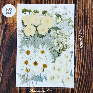 Fleurs séchées pressées naturelles violettes mélangées pour l'art de la résine DIY, le scrapbooking, la fabrication de cartes, l'artisanat, la décoration de coques de téléphone - Product Image 3
