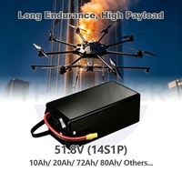 टीपीएनर्जी 51.8 वी 14s 72000mah 72आह ठोस-राज्य सॉफ्ट पैक लिपो बैटरी कृषि ड्रोन से लड़ने के लिए