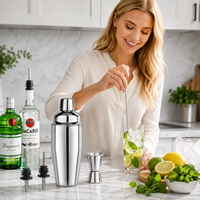 Ensemble de shaker à cocktails en acier inoxydable finition miroir, 5 pièces, outils de bar avec doseur, cuillère de bar et 2 becs verseurs pour bar à domicile