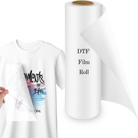 Película PET DTF de gran volumen para transferencia térmica, personalizada, al por mayor, en hojas, lista para prensar, para ropa, bolsos, calzado, prendas de vestir, gorras y guantes, de fábrica