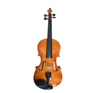 <span class=keywords><strong>Violino</strong></span> colorato per principianti adulti bambini praticano prestazioni <span class=keywords><strong>viola</strong></span> nero bianco - Product Image 3