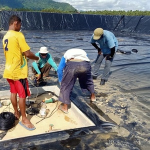 Tấm Lót AO Trang Trại Cá 0.75Mm Tấm Lót Nhựa HDPE Chống Thấm Nước 0.5Mm Nhà Sản Xuất - Product Image 3