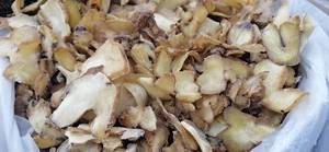 Radice di Sigillo di Salomone Essiccata e Affettata Huang Jing King per Uso Erboristico - Product Image 2