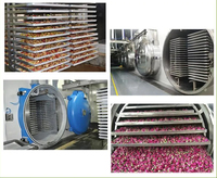 Lyophilisateur industriel CE pour fruits, légumes et snacks croustillants – Équipement de traitement par lyophilisation