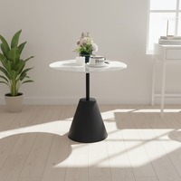 Commandes en gros de meubles : Table basse noire au design moderne avec rangement latéral doré, personnalisable, mobile, décorative, livraison rapide