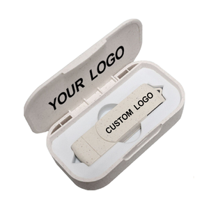 Wheat Straw Biodegradable Usb Flash Drive 3.0 Custom Usb Flash Drive 2 in 1 Promotional Business Gift Flash Drives Set