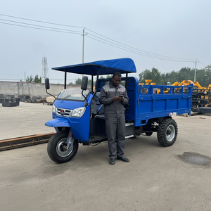 Triciclo <span class=keywords><strong>de</strong></span> Carga Motorizado <span class=keywords><strong>de</strong></span> <span class=keywords><strong>Tres</strong></span> <span class=keywords><strong>Ruedas</strong></span> con Motor Diésel Africano <span class=keywords><strong>de</strong></span> Carrocería Abierta, 3000 kg <span class=keywords><strong>de</strong></span> Carga Máxima, Alta Eficiencia y Enfriamiento por Aire - ¡<span class=keywords><strong>Venta</strong></span> Caliente! - Product Image 1