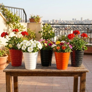 PP Flower <b>Pots</b> for Home Indoor Use Lightweight Design <b>Small</b> Size Modern Minimalist Plastic Planters White and Black - Product Image 2