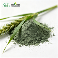 Poudre de blé vert biologique en vrac, superaliment pur, fournisseur en gros OEM sous marque privée