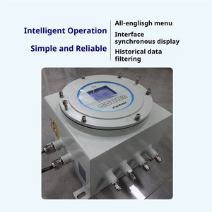 Analizador de Oxígeno O2 a Prueba de Explosiones Runlai E100 de Alto Rendimiento con Pantalla LCD Digital y Detector de Oxígeno Personalizable - Product Image 2