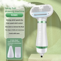 Brosse de toilettage pour animaux de compagnie personnalisée en gros auto-nettoyant toilettage pour animaux de compagnie vapeur professionnelle brosse sèche-cheveux pour animaux de compagnie