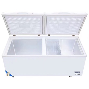Réfrigérateur-Congélateur Double Porte Compact et Économique - Product Image 1