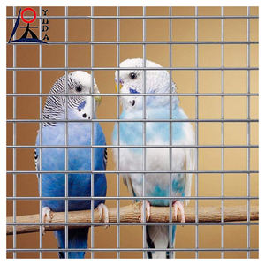 แผงตาข่ายลวดเชื่อมชุบสังกะสีขนาด 2x2 สำหรับปศุสัตว์ <span class=keywords><strong>ราคา</strong></span>โรงงานถูก ใช้ทำกรง<span class=keywords><strong>นก</strong></span> - Product Image 1