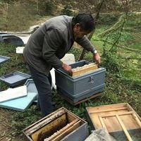 3-stöckiger Stapelbarer Kunststoff-Bienenstock |   Lebensmittelechtes PP + UV-Stabilisator |   Kommerzieller Bienenstock für Nachhaltige Imkerei