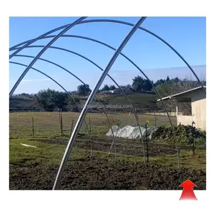 low cost Galvanized steel Frame Single span greenhouse greenhouses for agriculture