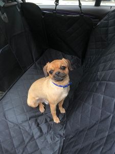 Protecteur de <span class=keywords><strong>voiture</strong></span> pour <span class=keywords><strong>chien</strong></span> Transporter Panier étanche pour chat Hamac de siège de <span class=keywords><strong>voiture</strong></span> pour <span class=keywords><strong>chien</strong></span> 2 en 1 Housse de siège de <span class=keywords><strong>voiture</strong></span> pour <span class=keywords><strong>chien</strong></span> - Product Image 4