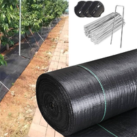 Rouleau de tissu UV de stabilisation Couvre-sol agricole Pépinière Membrane de contrôle des mauvaises herbes Tapis de mauvaises herbes tissé en PP noir