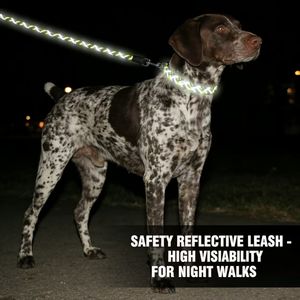 Guinzaglio per Cani di Taglia Grande Personalizzato in Tessuto Pesante a Spina di Pesce - Guinzaglio Riflettente per Esterni con Luce Notturna per Caccia ad Alta Tenacità - Product Image 1