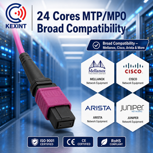 <span class=keywords><strong>สาย</strong></span>แพทช์ไฟเบอร์ออปติก Kexint 24 คอร์ MPO MTP แบบ OM4 มัลติโหมด LSZH สำหรับศูนย์ข้อมูล เครือข่าย 40G/100G - Product Image 5