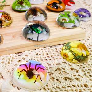 Insecto resina artesanía pisapapeles insecto resina espécimen juguete Real insecto espécimen artesanía acrílico pisapapeles regalos - Product Image 2